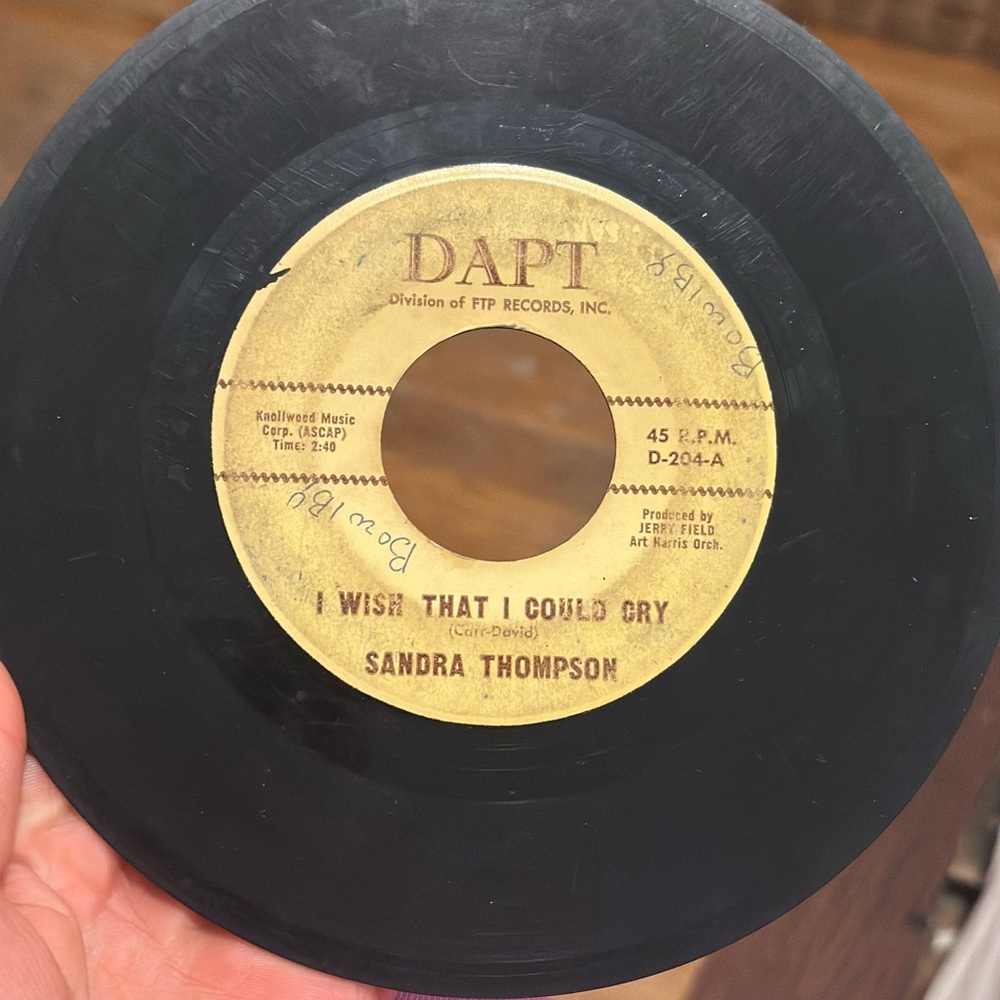 Black Vinyl Record - I Wish That I Could Cry by Sandra Thompson